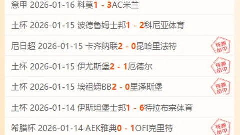 “穆里尼奥赛场争议：土耳其足协指控其失态，不端言行引发公众关注”